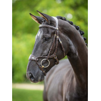Bridon LeMieux Kudos muserolle anatomique réglable Noir / argent