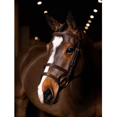 Bridon double muserolle LeMieux Kudos Havane / laiton Marron Bridon double muserolle LeMieux Kudos Havane / laiton Marron