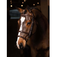 Bridon double muserolle LeMieux Kudos Havane / laiton Marron