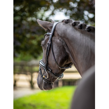 Bridon LeMieux Kudos Patent dressage Bridon LeMieux Kudos Patent dressage