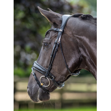 Bridon LeMieux Kudos Patent dressage Bridon LeMieux Kudos Patent dressage
