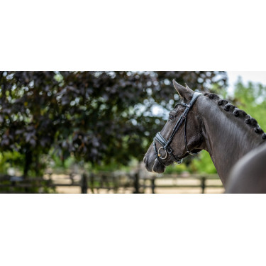Bridon LeMieux Kudos Patent dressage Bridon LeMieux Kudos Patent dressage