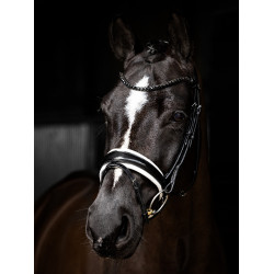 Bridon LeMieux Kudos Patent dressage