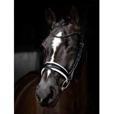 Bridon LeMieux Kudos Patent dressage Noir / blanc