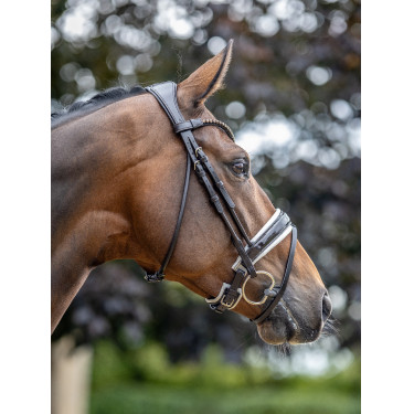 Bridon LeMieux Kudos Patent dressage Marron / blanc