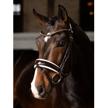 Bridon LeMieux Kudos Patent dressage Marron / blanc