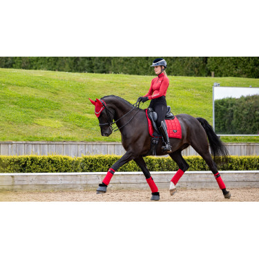 Tapis de selle LeMieux Loire Dressage Square Chilli Tapis de selle LeMieux Loire Dressage Square Chilli