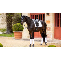 Tapis Amortisseur LeMieux Merino+ Lined Suede Dressage Square Blanc / blanc