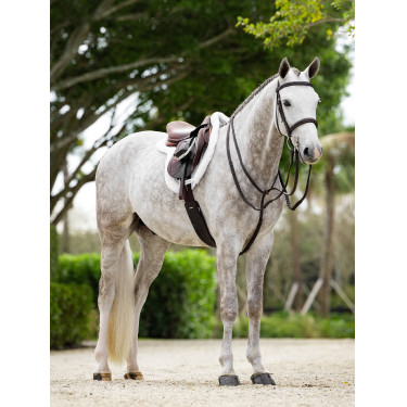 Tapis Hunter Merino+ ProSorb LeMieux Tapis Hunter Merino+ ProSorb LeMieux