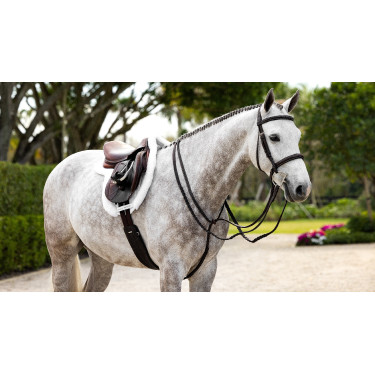 Tapis Hunter Merino+ ProSorb LeMieux Tapis Hunter Merino+ ProSorb LeMieux