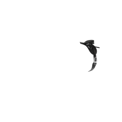 Selle de dressage pour jouet Mini Poney LeMieux Noir Selle de dressage pour jouet Mini Poney LeMieux Noir