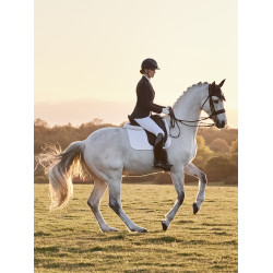 Veste de concours LeMieux Zoe Marine Bleu marine Veste de concours LeMieux Zoe Marine Bleu marine