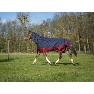 Couverture Equithème Tyrex 1200 D Combo Couverture Equithème Tyrex 1200 D Combo