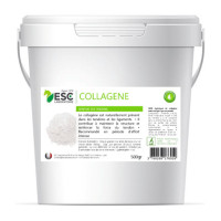 Collagene Marin Pur ESC Laboratoire Collagene Marin Pur ESC Laboratoire