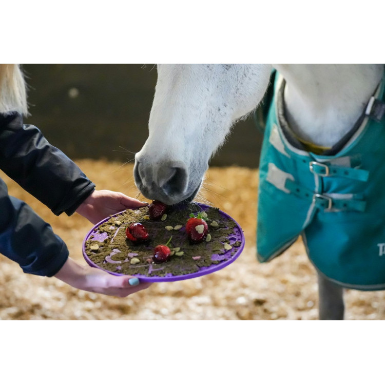 Tapis de léchage Likit Graze Maze Tapis de léchage Likit Graze Maze