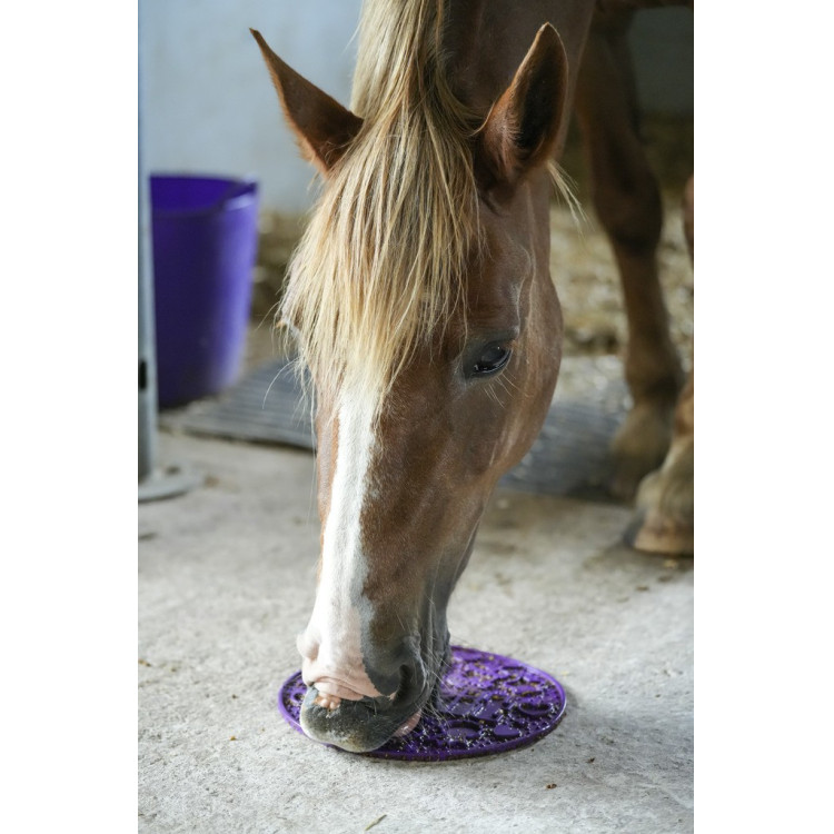 Tapis de léchage Likit Graze Maze Tapis de léchage Likit Graze Maze