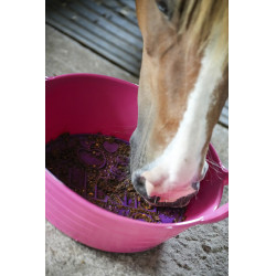 Pâte à lécher Likit Graze Paste Pâte à lécher Likit Graze Paste