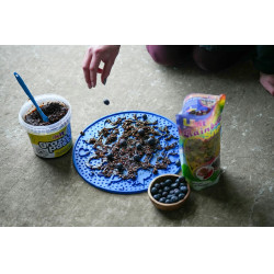 Pâte à lécher Likit Graze Paste Pâte à lécher Likit Graze Paste