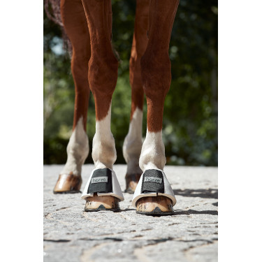 Cloches Probell Horze Blanc