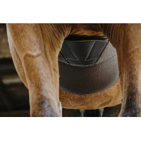 Sangle bavette Magnet Norton Noir Sangle bavette Magnet Norton Noir