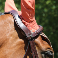 Bridon Muserolle Combinée Anatomique Dy'on Noir