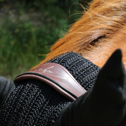 Bridon Muserolle Combinée Anatomique Dy'on New English Collection Marron