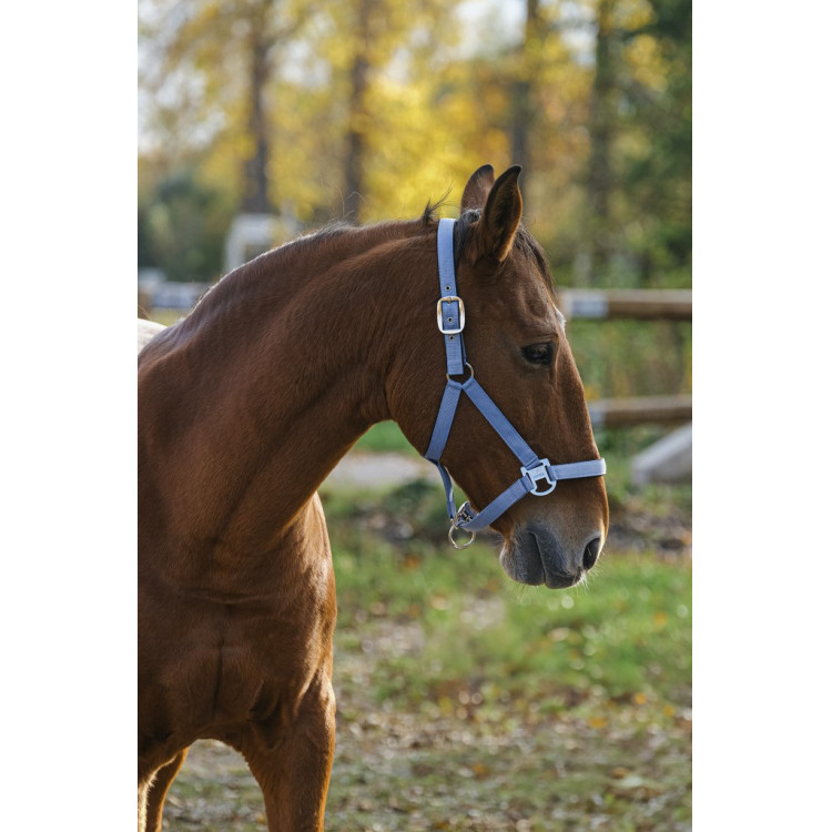 Licol Nylon Spring Equithème Licol Nylon Spring Equithème