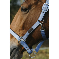 Licol Nylon Spring Equithème Licol Nylon Spring Equithème