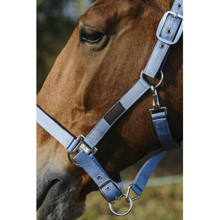 Licol Nylon Spring Equithème Licol Nylon Spring Equithème