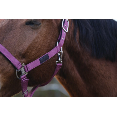 Licol Nylon Spring Equithème Licol Nylon Spring Equithème