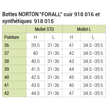 Bottes Norton Forall synthétique Bottes Norton Forall synthétique