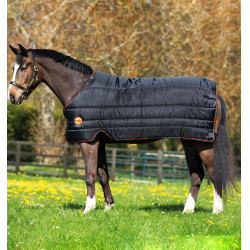 Liner Horseware Rambo Ionic Stable 100g