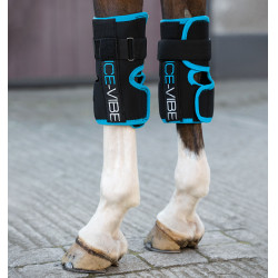 Guêtres Ice-Vibe Genoux Horseware