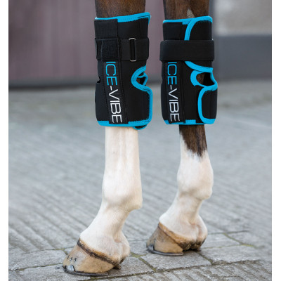 Guêtres Ice-Vibe Genoux Horseware Noir / aqua