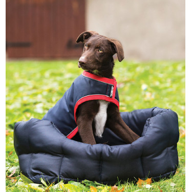 Couverture Rambo chien Horseware imperméable 100g Couverture Rambo chien Horseware imperméable 100g