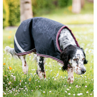 Couverture chien Amigo Ripstop Horseware Couverture chien Amigo Ripstop Horseware