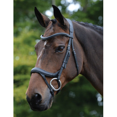 Bridon anatomique Collegiate ComFiTec Vogue Bridon anatomique Collegiate ComFiTec Vogue