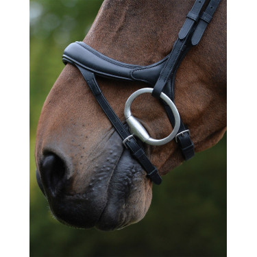 Bridon anatomique Collegiate ComFiTec Vogue Bridon anatomique Collegiate ComFiTec Vogue