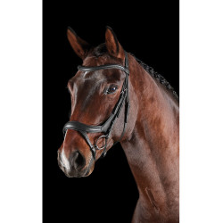 Bridon anatomique Collegiate ComFiTec Vogue Noir Bridon anatomique Collegiate ComFiTec Vogue Noir