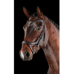 Bridon anatomique Collegiate ComFiTec Vogue Marron