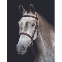Bridon Collegiate Cavesson IV Noir