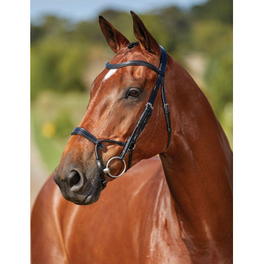 Bridon Collegiate ComFiTec Bridon Collegiate ComFiTec