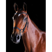 Bridon Collegiate ComFiTec Noir