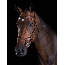 Bridon Collegiate ComFiTec Marron