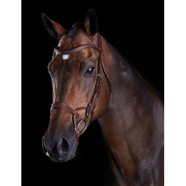 Bridon Collegiate ComFiTec Marron