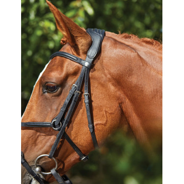Bridon Collegiate ComFiTec Grackle Bridon Collegiate ComFiTec Grackle
