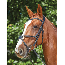 Bridon Collegiate ComFiTec Grackle Noir