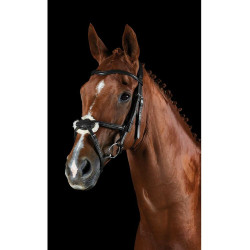 Bridon Collegiate ComFiTec Grackle Noir