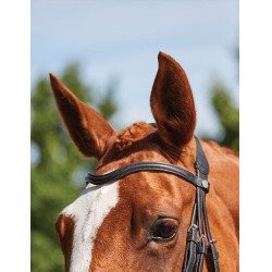 Bridon Collegiate ComFiTec Grackle Noir