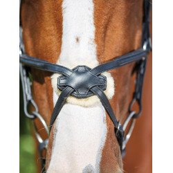 Bridon Collegiate ComFiTec Grackle Noir